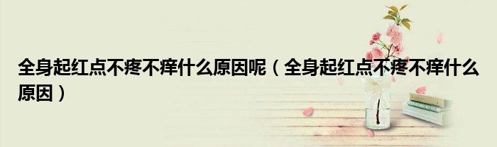 全身起红点不疼不痒什么原因呢（全身起红点不疼不痒什么原因）