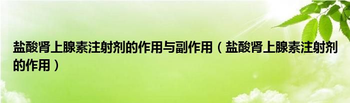 盐酸肾上腺素注射剂的作用与副作用（盐酸肾上腺素注射剂的作用）