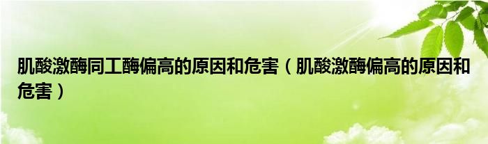 肌酸激酶同工酶偏高的原因和危害（肌酸激酶偏高的原因和危害）