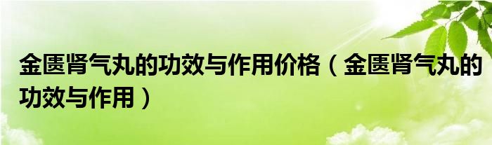金匮肾气丸的功效与作用价格（金匮肾气丸的功效与作用）