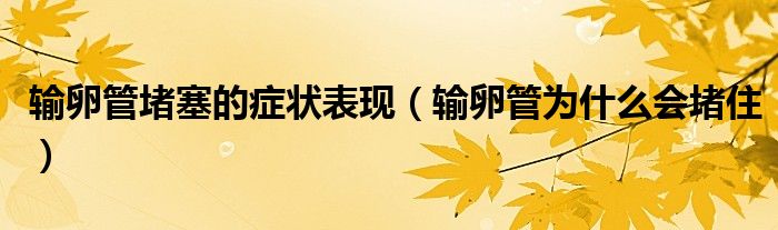 输卵管堵塞的症状表现（输卵管为什么会堵住）