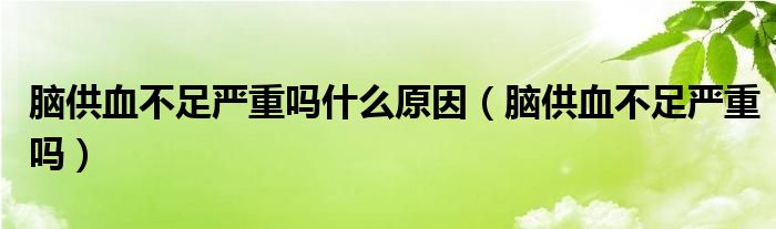 脑供血不足严重吗什么原因（脑供血不足严重吗）