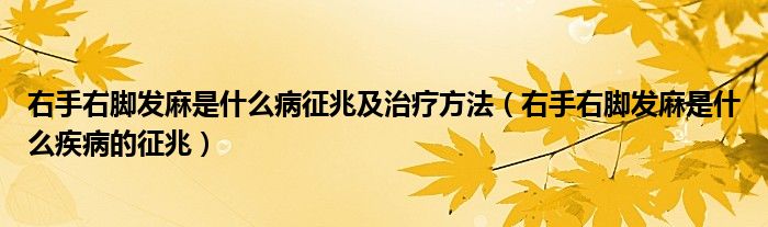 右手右脚发麻是什么病征兆及治疗方法（右手右脚发麻是什么疾病的征兆）