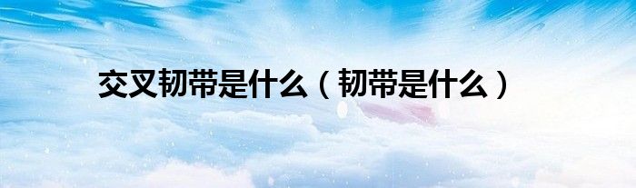 交叉韧带是什么（韧带是什么）