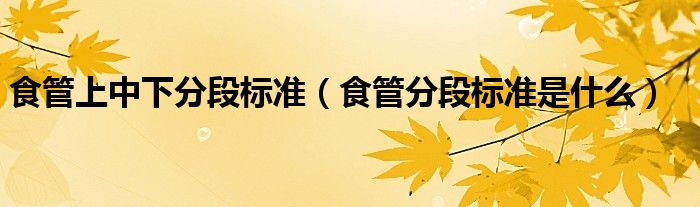食管上中下分段标准（食管分段标准是什么）