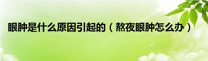 眼肿是什么原因引起的（熬夜眼肿怎么办）