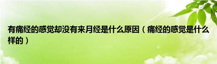 有痛经的感觉却没有来月经是什么原因（痛经的感觉是什么样的）
