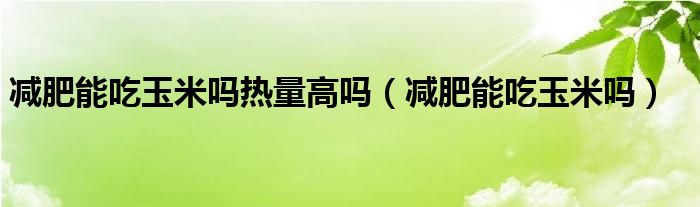 减肥能吃玉米吗热量高吗（减肥能吃玉米吗）