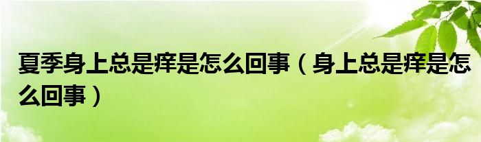 夏季身上总是痒是怎么回事（身上总是痒是怎么回事）