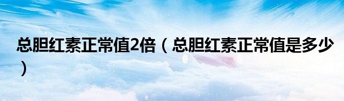 总胆红素正常值2倍（总胆红素正常值是多少）