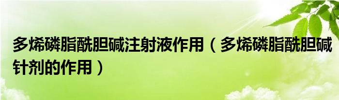 多烯磷脂酰胆碱注射液作用（多烯磷脂酰胆碱针剂的作用）