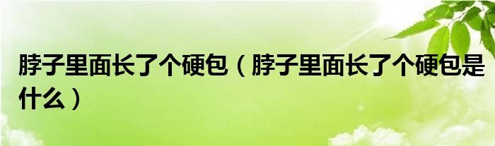 脖子里面长了个硬包（脖子里面长了个硬包是什么）