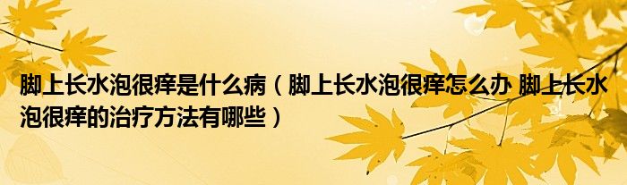 脚上长水泡很痒是什么病（脚上长水泡很痒怎么办 脚上长水泡很痒的治疗方法有哪些）