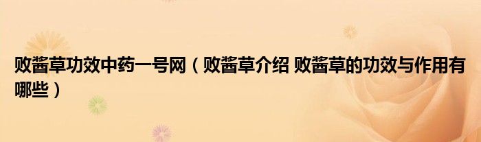 败酱草功效中药一号网（败酱草介绍 败酱草的功效与作用有哪些）