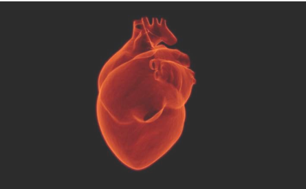 虚拟血管技术可以改善心脏病护理