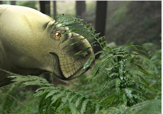 在波兰发现的新三叠纪 Dicynodont 物种