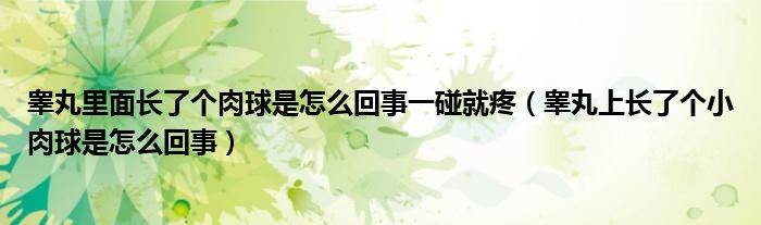 睾丸里面长了个肉球是怎么回事一碰就疼（睾丸上长了个小肉球是怎么回事）