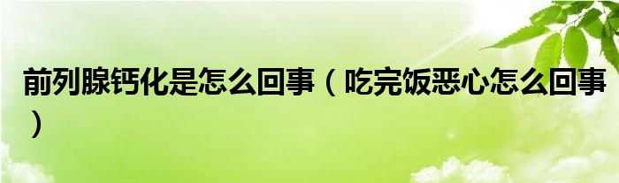 前列腺钙化是怎么回事（吃完饭恶心怎么回事）