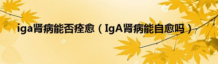 iga肾病能否痊愈（IgA肾病能自愈吗）