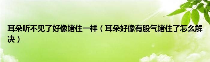 耳朵听不见了好像堵住一样（耳朵好像有股气堵住了怎么解决）