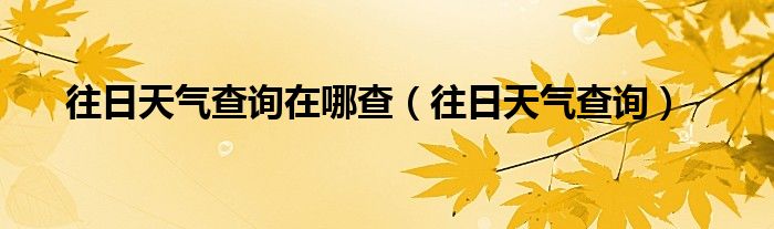 往日天气查询在哪查（往日天气查询）