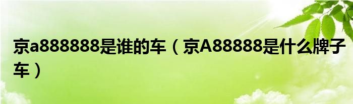 京a888888是谁的车（京A88888是什么牌子车）