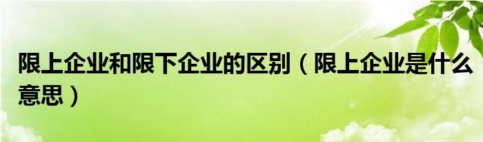 限上企业和限下企业的区别（限上企业是什么意思）
