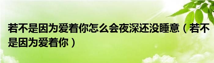 若不是因为爱着你怎么会夜深还没睡意（若不是因为爱着你）