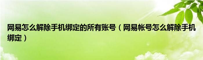 网易怎么解除手机绑定的所有账号（网易帐号怎么解除手机绑定）