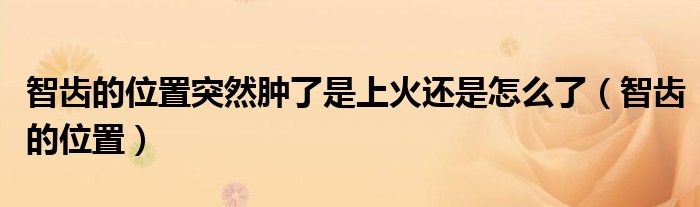 智齿的位置突然肿了是上火还是怎么了（智齿的位置）