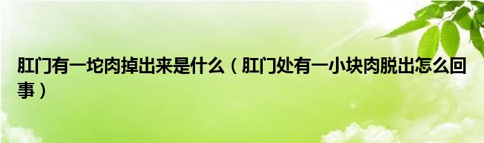 肛门有一坨肉掉出来是什么（肛门处有一小块肉脱出怎么回事）