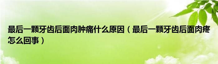 最后一颗牙齿后面肉肿痛什么原因（最后一颗牙齿后面肉疼怎么回事）