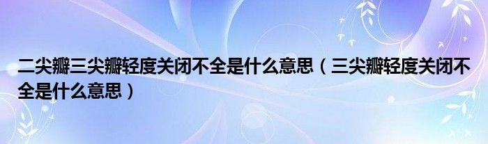 二尖瓣三尖瓣轻度关闭不全是什么意思（三尖瓣轻度关闭不全是什么意思）
