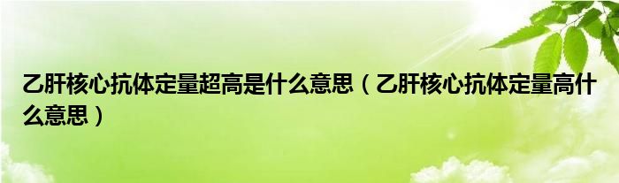 乙肝核心抗体定量超高是什么意思（乙肝核心抗体定量高什么意思）
