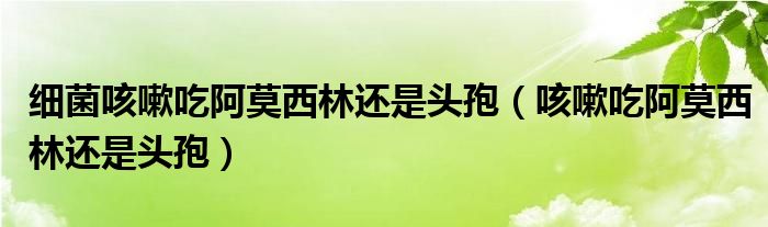 细菌咳嗽吃阿莫西林还是头孢（咳嗽吃阿莫西林还是头孢）