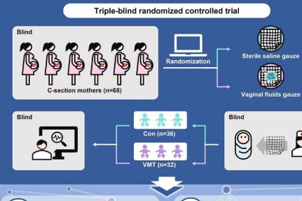 阴道微生物群播种改善了剖腹产婴儿的神经发育揭示了三盲试验