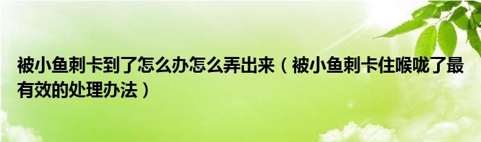 被小鱼刺卡到了怎么办怎么弄出来（被小鱼刺卡住喉咙了最有效的处理办法）