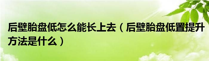 后壁胎盘低怎么能长上去（后壁胎盘低置提升方法是什么）