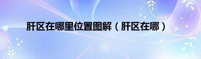 肝区在哪里位置图解（肝区在哪）