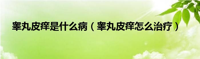 睾丸皮痒是什么病（睾丸皮痒怎么治疗）