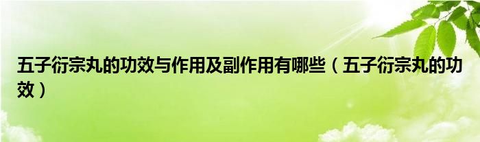五子衍宗丸的功效与作用及副作用有哪些（五子衍宗丸的功效）