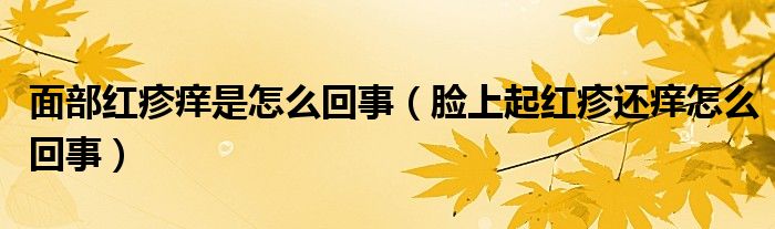 面部红疹痒是怎么回事（脸上起红疹还痒怎么回事）