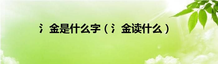 氵金是什么字（氵金读什么）