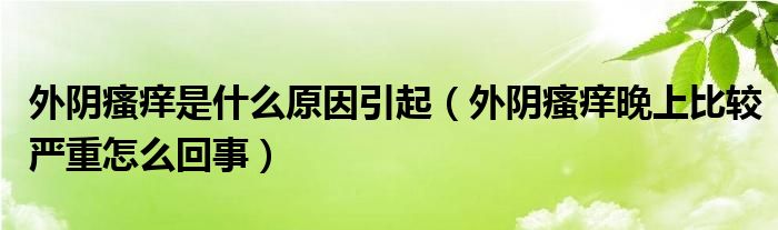 外阴瘙痒是什么原因引起（外阴瘙痒晚上比较严重怎么回事）