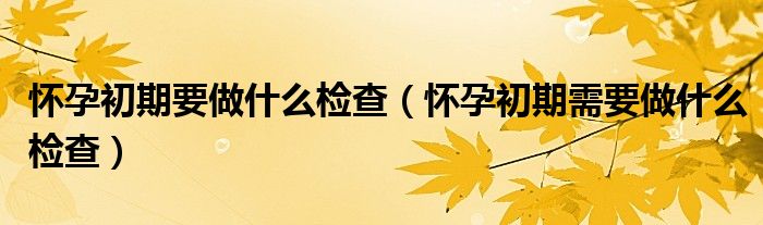 怀孕初期要做什么检查（怀孕初期需要做什么检查）