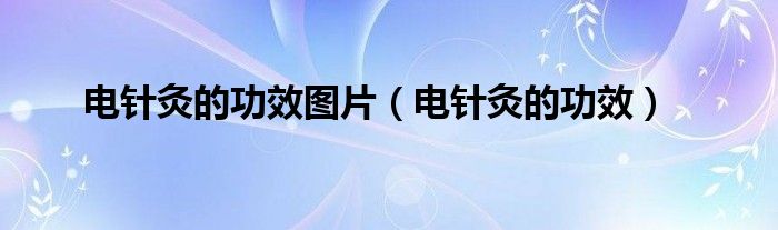 电针灸的功效图片（电针灸的功效）