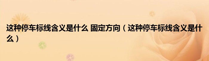 这种停车标线含义是什么 固定方向（这种停车标线含义是什么）