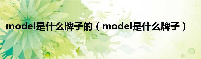 model是什么牌子的（model是什么牌子）