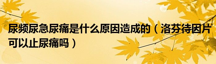 尿频尿急尿痛是什么原因造成的（洛芬待因片可以止尿痛吗）