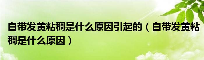 白带发黄粘稠是什么原因引起的（白带发黄粘稠是什么原因）